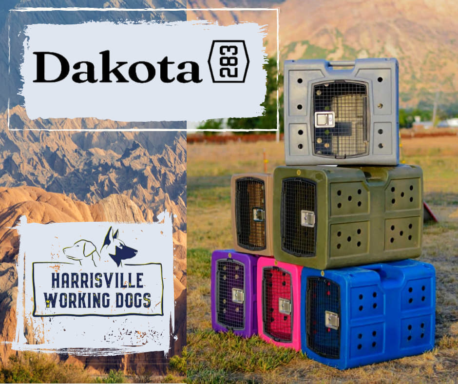 Dakota 283 Dog Kennels
