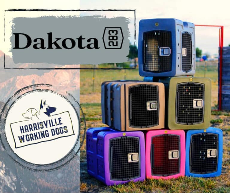 Dakota 283 Kennels For Sale Harrisville Working Dogs Ogden Utah