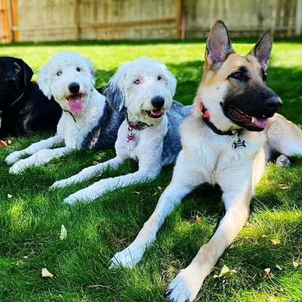 Sunday Socialization Classes